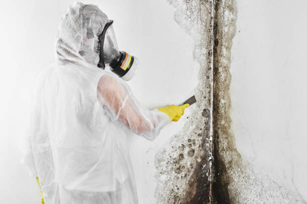 Water Damage Restoration in Herculaneum, MO