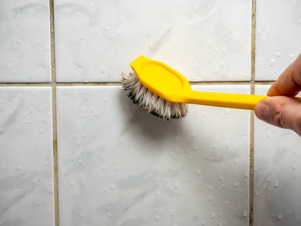Professional Mold Removal in Herculaneum, MO